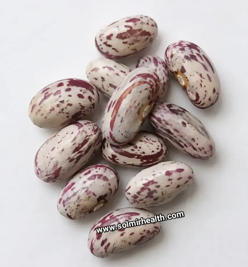 Beans among the best foods to lower
cholesterol naturally